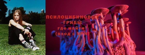 ALPHA PVP Медвежьегорск