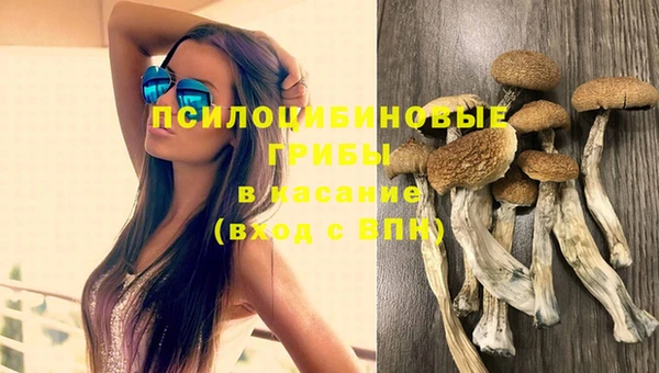 мяу мяу кристалл Лабытнанги