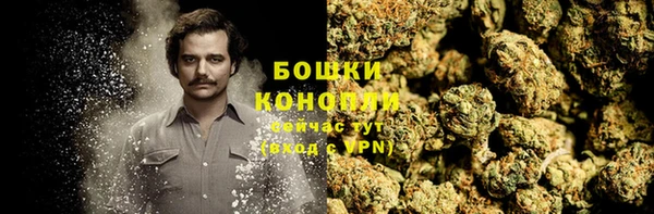 гидропоника Магас