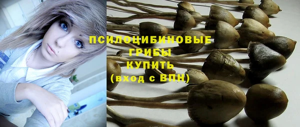 ALPHA PVP Медвежьегорск